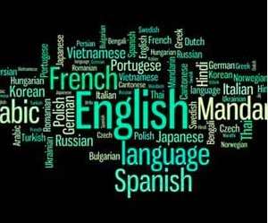 I will translate your data from english into any of international language within deadlines.