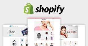 I will Professionally create Shopify Website for any product