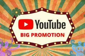 I will do youtube promotion to complete channel monetization organically image 3