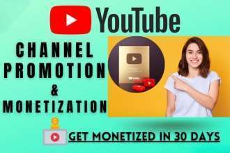 I will do youtube promotion to complete channel monetization organically image 1