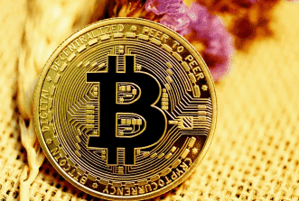 integrate bitcoin token payment gateway bitcoin to your website accept bitcoin