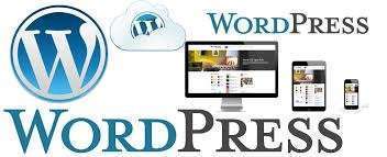 I will design a professional WordPress website using Elementor