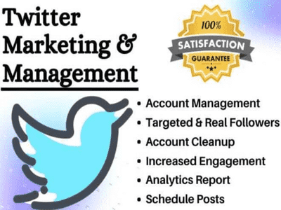 Twitter marketing and Twitter management Twitter promotion