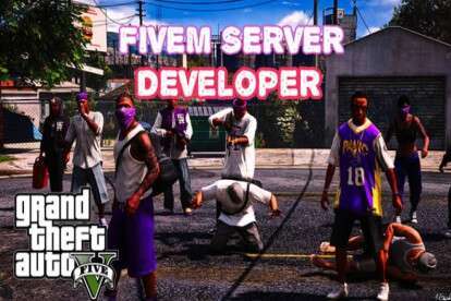I will be your fivem server developer
