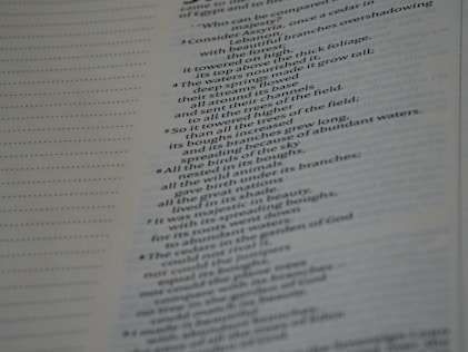 I will provide accurate typing, data entry, translation, and virtual assistant services