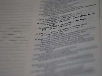 I will professionally proofread and polish your 1000-word document