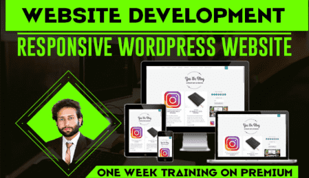 develop and design a professional wordpress website