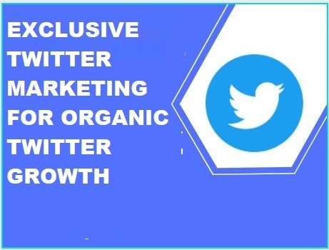 exclusive twitter marketing for organic twitter growth