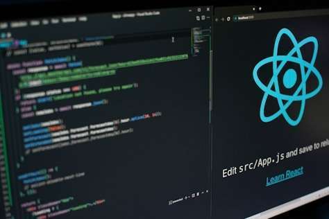 I will provide web development with react and typescript