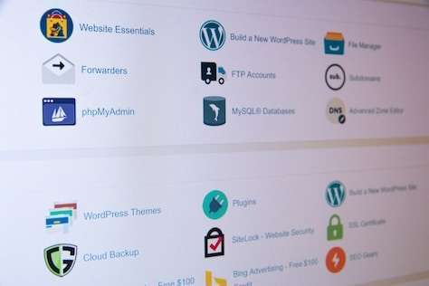 WordPress Developer for Customizations and Adjustments