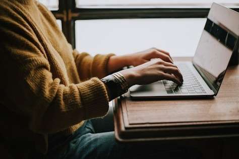 Essay Writer