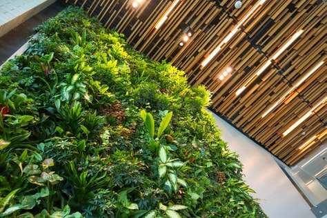 Living Wall Installation Consultancy Services