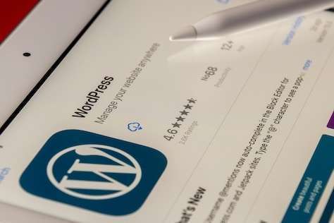 Professional WordPress Website Development