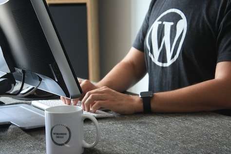 I will provide a WordPress fully responsive website for you