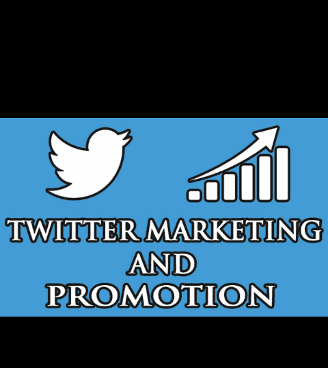 I will do organic Twitter followers Promotion