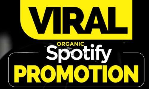 I will do organic spotify promotion for spotify music