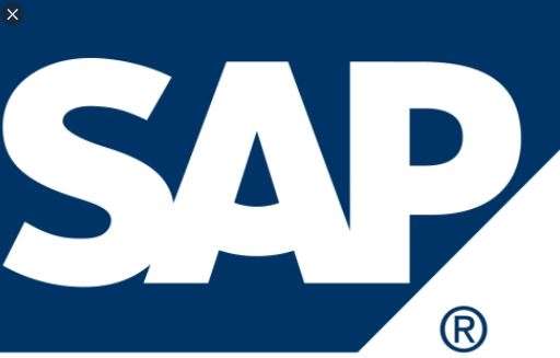 SAP Successfactors consultant
