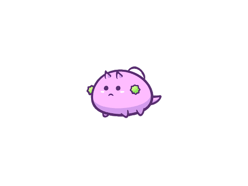 axie Experience