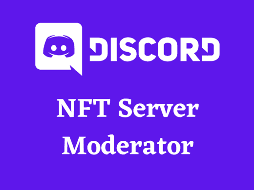 I will be your NFT discord server moderator