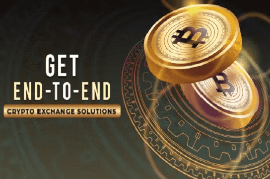 I will build you a crypto exchange website