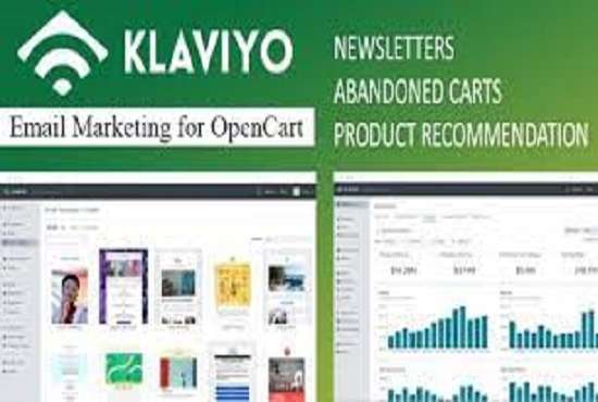 I will set up klaviyo for shopify ecommerce email flows image 3