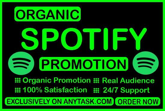 I will Promote your Spotify Music Project Organically