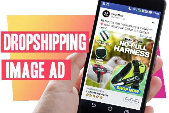 I will do dropshipping image ad for facebook and instagram
