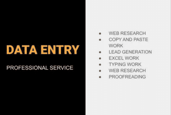 I will do professional and quick data entry with accuracy