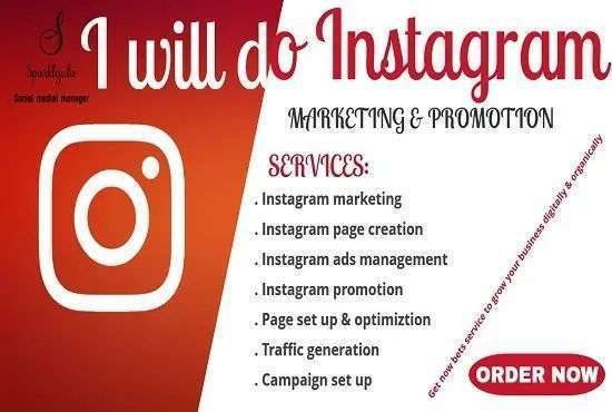 do instagram promotion for fast organic instagram growth