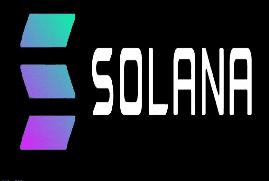 I will be your solana developer
