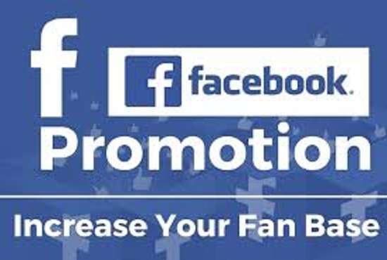 I will do Facebook page promotion