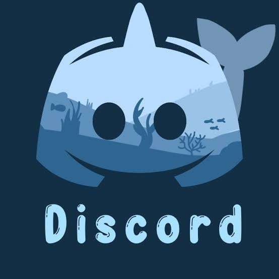 I will do discord mass dm, nft discord mass dm, mass dm