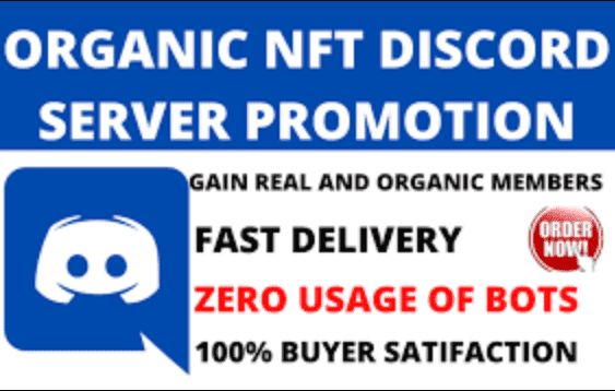 I will grow your nft discord, discord server promotion