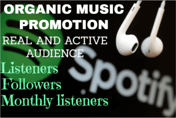 I will promote your music professionally