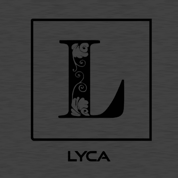 Boost Your Business With Professional Logo Designer Assistance