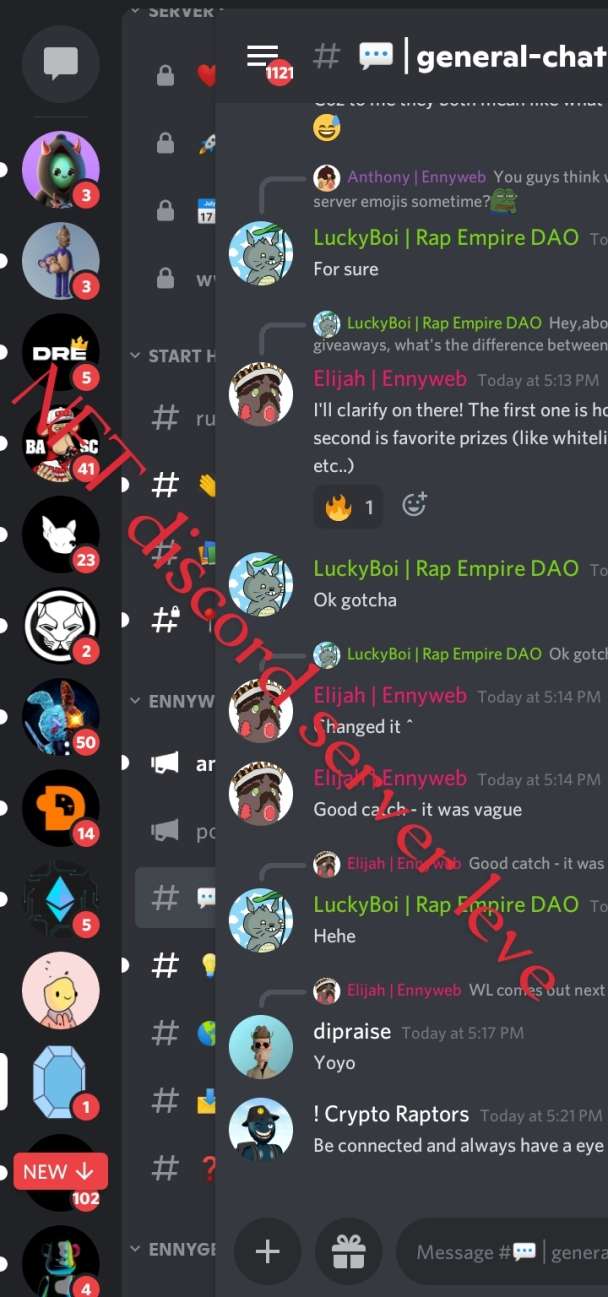 NFT discord server level ,discord whitelist,discord chat