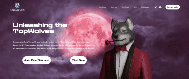 Creative and Unique NFT collection minting Dapp.