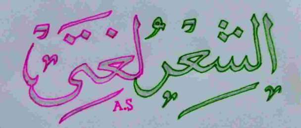 I will create beautiful custom Arabic calligraphy for you