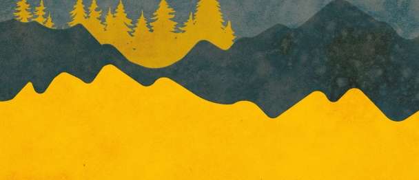 Create an illustration using Portrait pictures.
