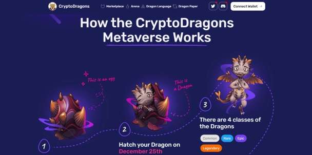 NFT | Blockchain Developer