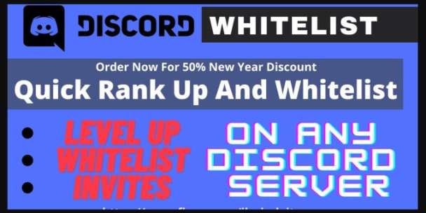 I  will make you a professional custom discord server