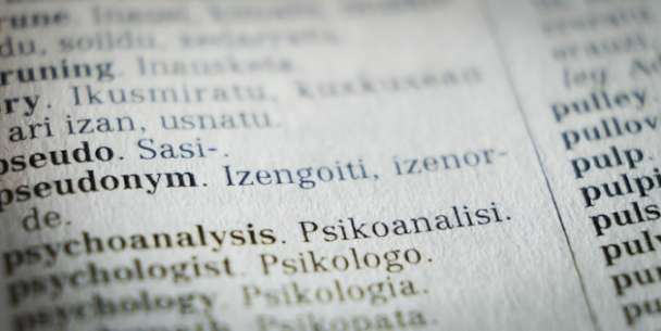 I Will Bridging Languages: Professional and Accurate Translation Services