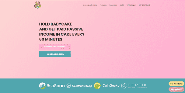 Token Development on Ethereum, BSC and Polygon
