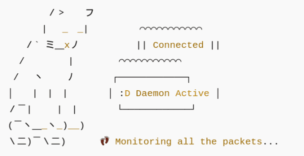 I will setup network service