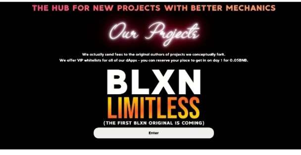 I will build bnb, busd miner or roi dapps in any chain