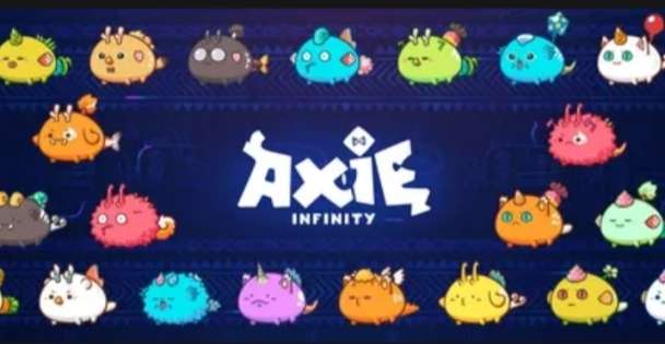 Axie Scholarship