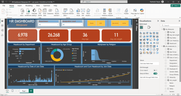Professional Data Analysis & Visualization Service