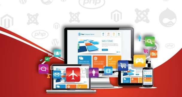 Professional Full-Stack Web Developer