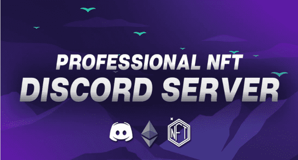 I will set up you a professional nft discord community