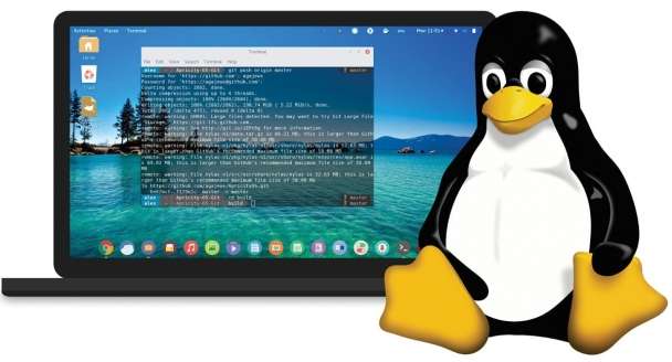 setup and secure linux server